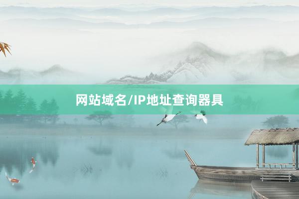 网站域名/IP地址查询器具