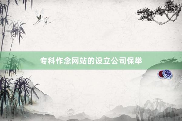 专科作念网站的设立公司保举